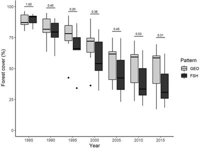 Forest regeneration pathways in contrasting deforestation patterns of Amazonia